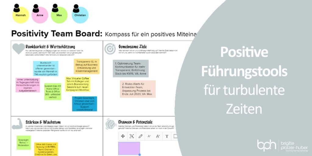 Positivity Team Canvas